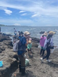 三浦半島　野外観察会
