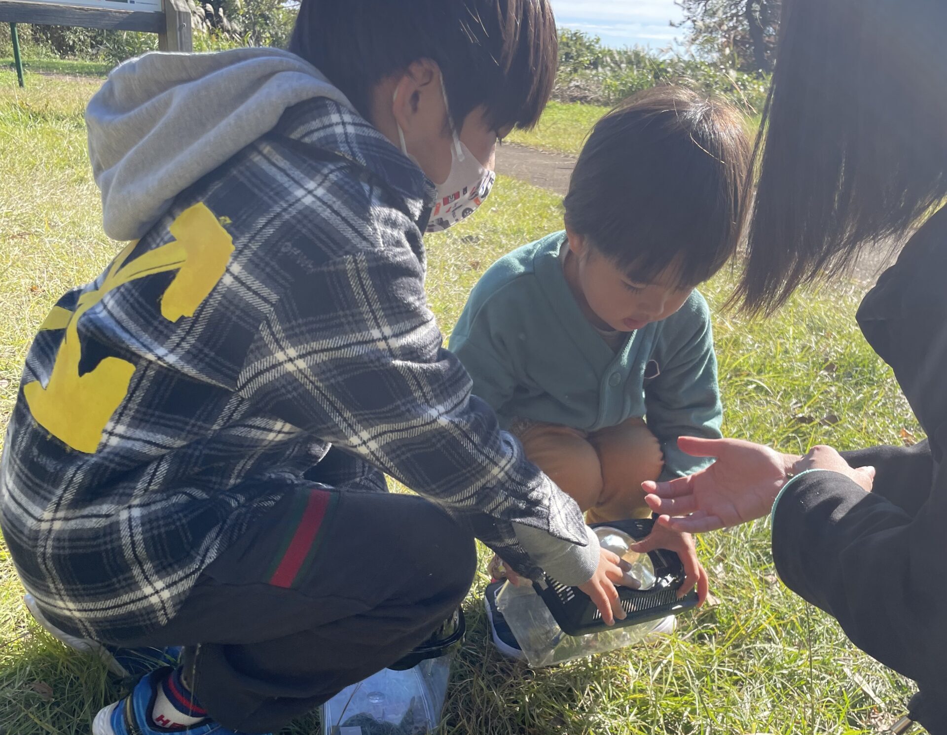 野外教室 平塚バッタ探し