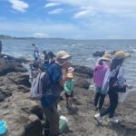 三浦半島　野外観察会